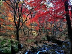 -本溪老边沟风景区
