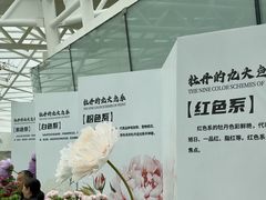 -曹州牡丹园