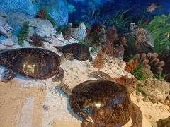-中国（海南）南海博物馆