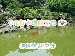 -红梅公园