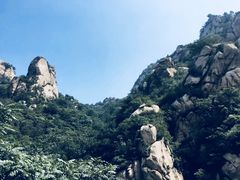 -大岭沟猕猴桃谷风景区