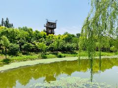 -东郊湿地公园
