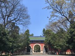 -灵谷景区