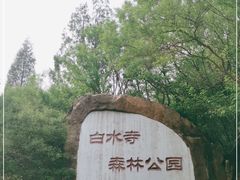 -白水寺森林公园