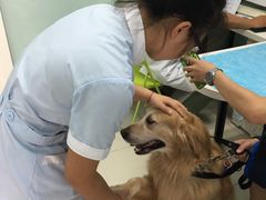 -纳吉亚猫专科动物医院博雅分院