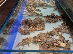 -鼎香缘海鲜自助火锅烤肉(锦辉购物广场店)