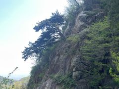 -泰山风景名胜区