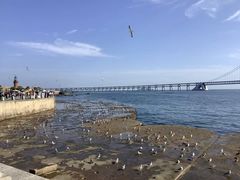 -星海湾跨海大桥