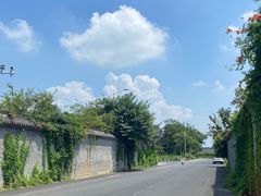 -朴园