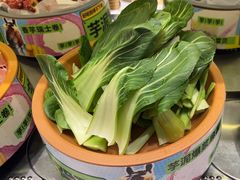 -龍歌自助小火锅(市南金茂湾店)