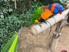 -南宫五洲植物乐园