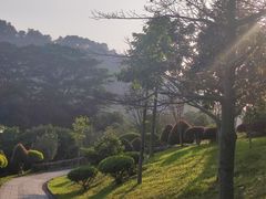 -东莞植物园