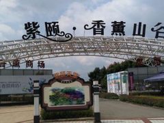 -紫颐香薰山谷景区