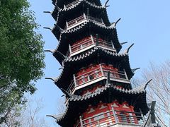 -上海佘山国家森林公园西佘山园