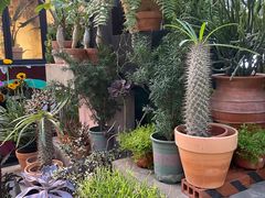 -PlantsEatery·植物食堂(REX春熙店)