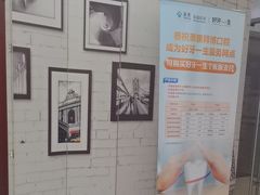 -泰康拜博口腔(世博园乐尔店)