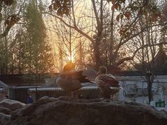 -北京市海淀外国语实验学校