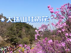 -青岛大珠山景区