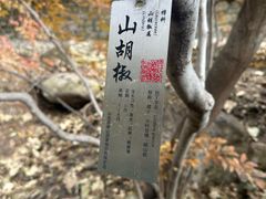 -无染寺