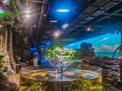 -江和美海洋公园
