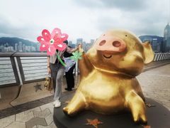 -星光大道