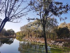 -大兴滨河森林公园