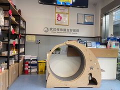 -伟伟宠物医院·瑞派猫友好医院·猫科(光谷店)