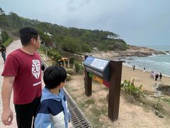-广东惠东海龟国家级自然保护区