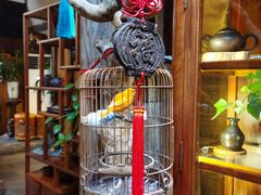 -普洱茶府(博乐广场店)