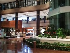 -上海新锦江大酒店