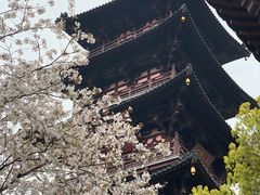-枫桥景区
