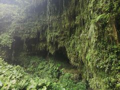 -海口火山口国家地质公园