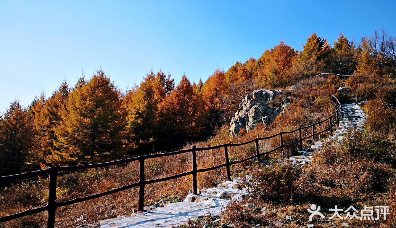 把车开上百花山