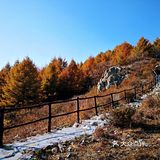 把车开上百花山