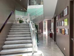 -上海漾颜医疗美容