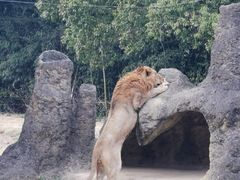 -杭州野生动物世界
