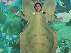 -上海昆虫博物馆