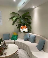 -健身堂科技美肌SPA