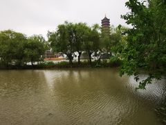 -长兴太湖图影湿地文化园