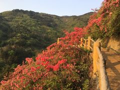 -木兰云雾山