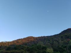 -桃花岭景区