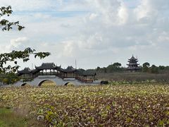 -上海海湾国家森林公园