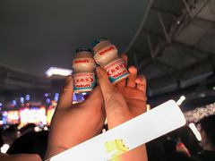 -八万人体育馆-外场足球场