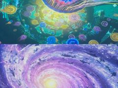 -海合安武汉极地海洋公园