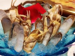 -矮冬瓜红茶火锅