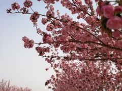 -古柏渡飞黄旅游区