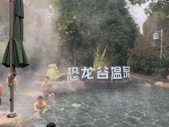 -常州环球恐龙城维景国际大酒店