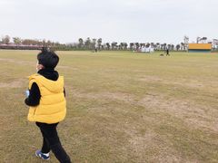 -春花秋色城市公园