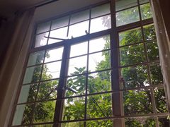 -MAISON门前杂货店