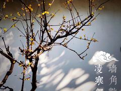 -沧浪亭